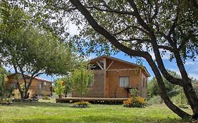 Cabañas Llepu
